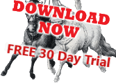 Download Now!